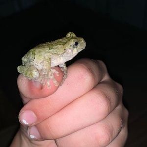 Meet your Posher, Madi sue